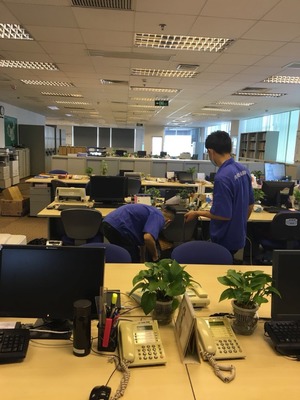 別墅滅鼠、滅蟑、滅蠅技術咨詢指南